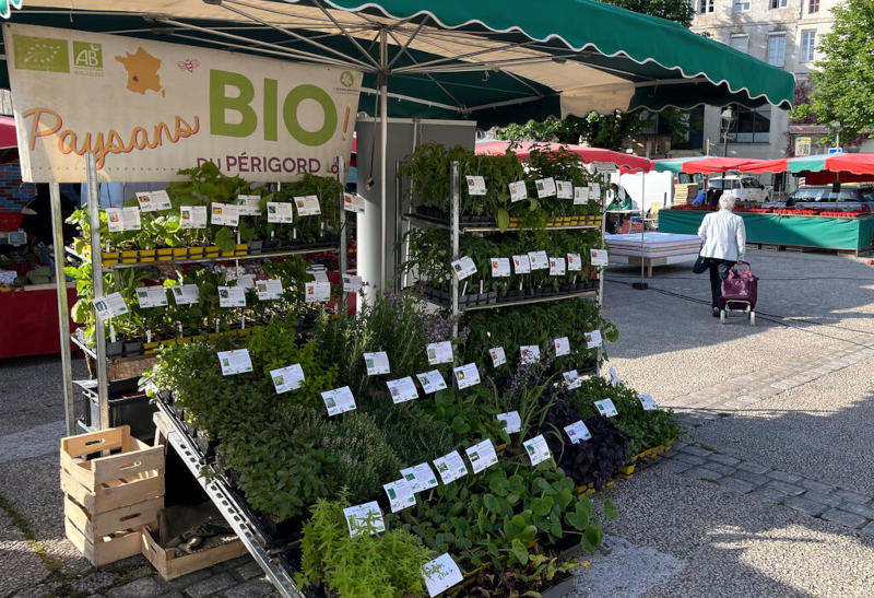 Marché des Halles d'Angoulême - PlantOn Bio - point de vente - Où acheter
