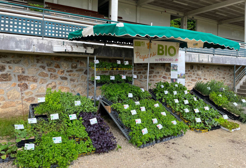 PlantOn Bio - Fête des plantes de Pompadour – Arnac-Pompadour