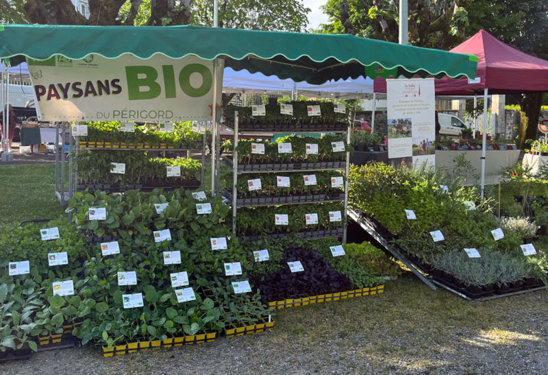 PlantOn Bio Marché de printemps de Saint-Junien