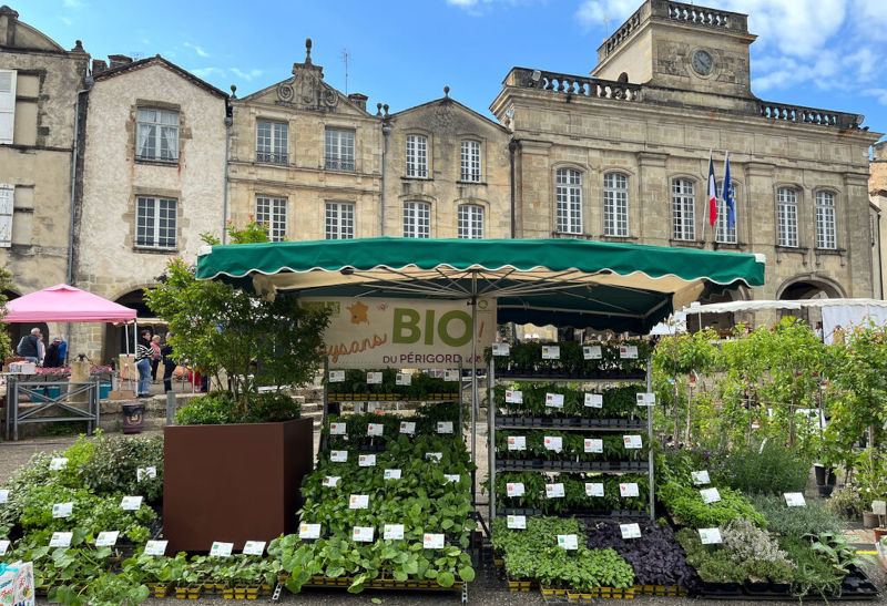 PlantOn bio Marché aux fleurs de Bazas