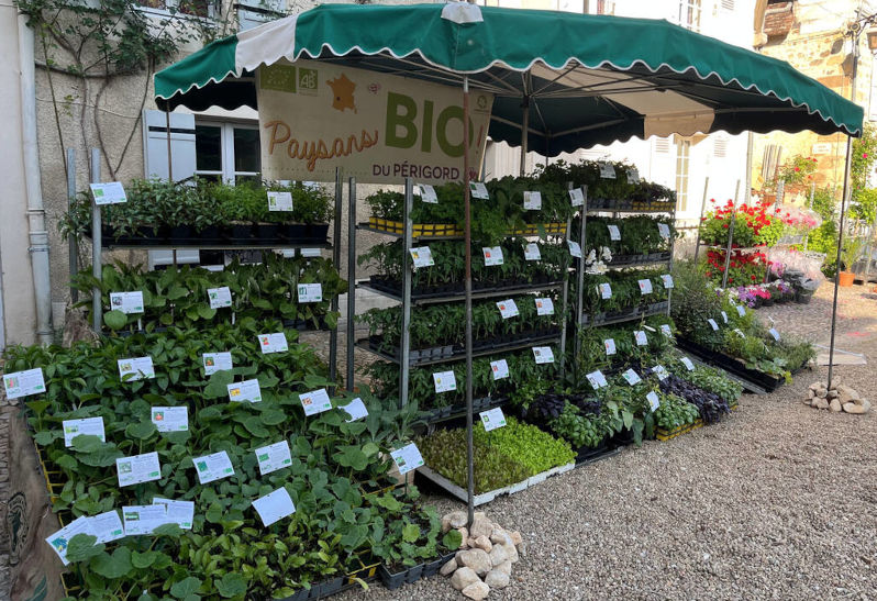 Plnton bio - Floralies de Saint-Jean-de-Côle