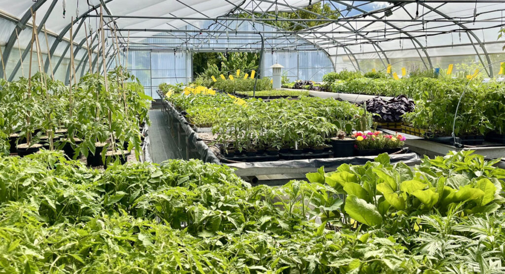 Plantonbio accueil img3