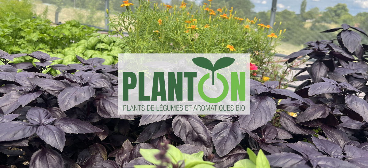 PlantOn Bio Plants de légumes et aromatiques Bio - Verteillac Périgord Vert